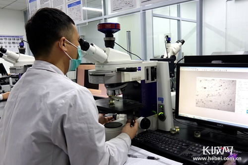 四通新材 防控生產(chǎn)雙驅(qū)動(dòng)，國(guó)內(nèi)外訂單全面恢復(fù)，新材料研發(fā)蓄力未來