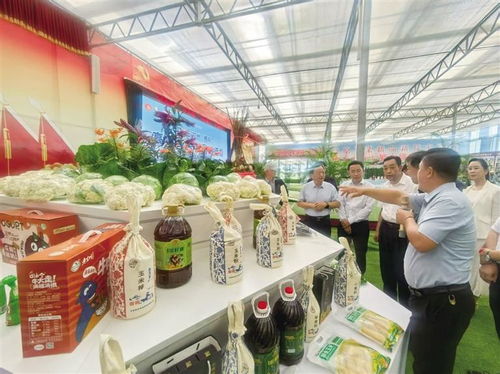 2025中國榆中高原夏菜新品博覽會盛大開幕，1087個新品種引領農業創新